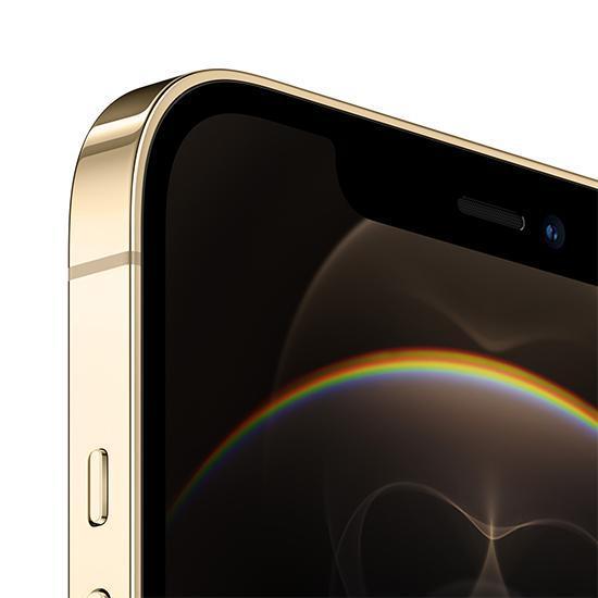 iPhone 12Pro Max 256GB ゴールド iPhone 12 Pro Max 256GB Gold with Affordable Price