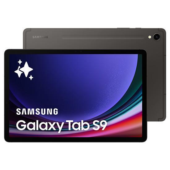 Samsung Galaxy Tab S9 (SM-X716N), 8GB/128GB 5G Gray | MPSTORE.RO